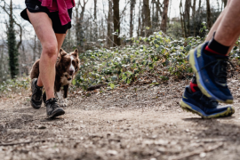 Randonnées en wallonie 